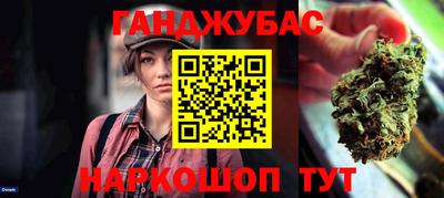 индика Сланцы