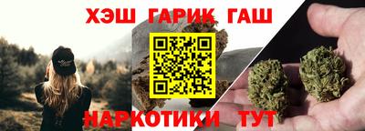 индика Сланцы