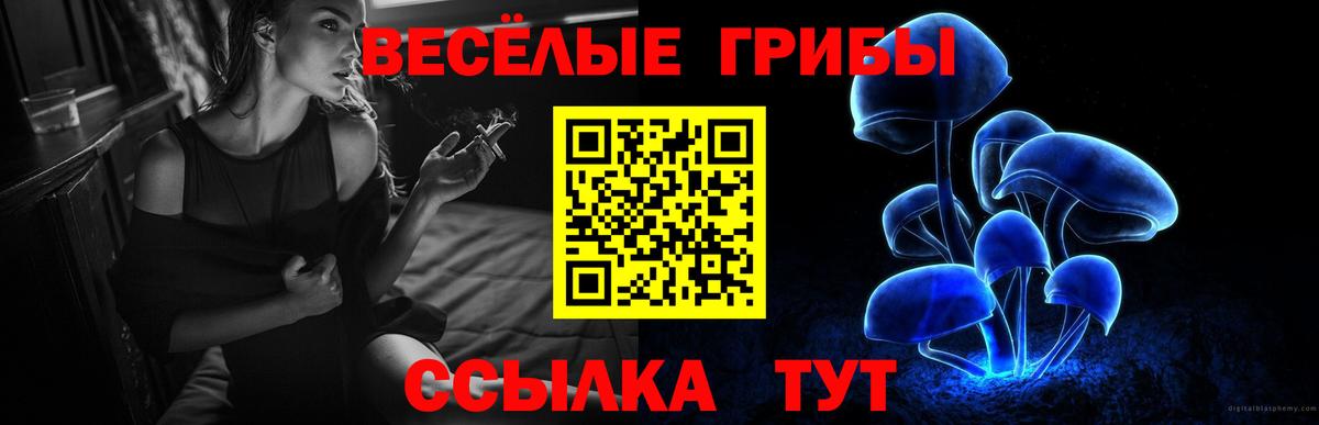 Псилоцибиновые грибы Psilocybe  Вход с VPN  Псилоцибиновые грибы Psilocybine cubensis  Саров 